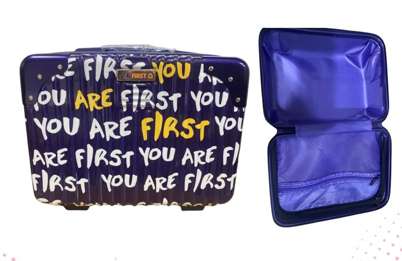 Travel luggage